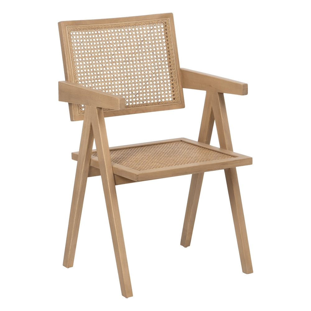 SANDRO |Dining Chair - DECOR PETIT