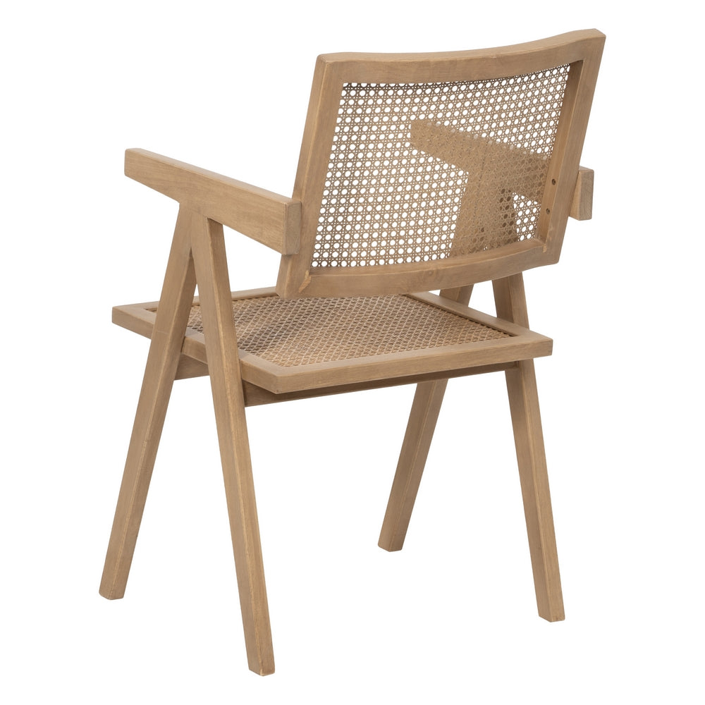 SANDRO |Dining Chair - DECOR PETIT