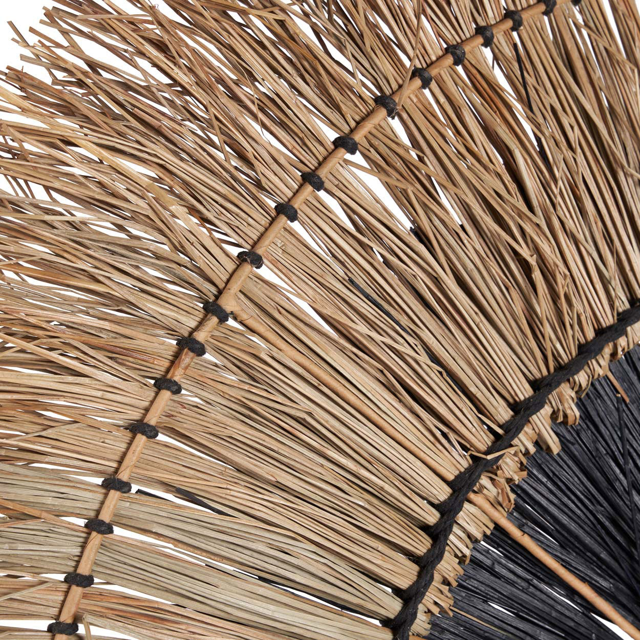 AMAZONIA |Adorno de Pared - DECOR PETIT