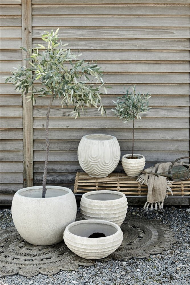 Flora Olivenbaum, H44 cm. - DECOR PETIT